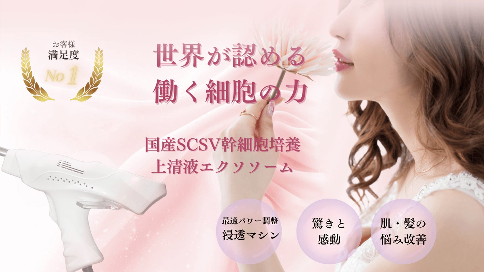 綺麗な女の人